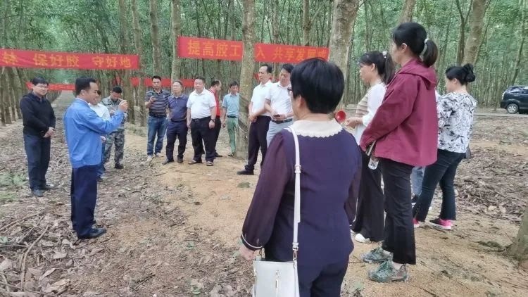 全國割膠冠軍張健給各單位學(xué)員做標準化膠園建設(shè)及割膠技術(shù)的經(jīng)驗介紹。.jpg
